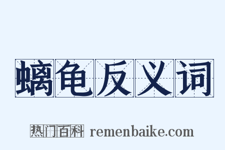 螭龟反义词是什么意思的图片